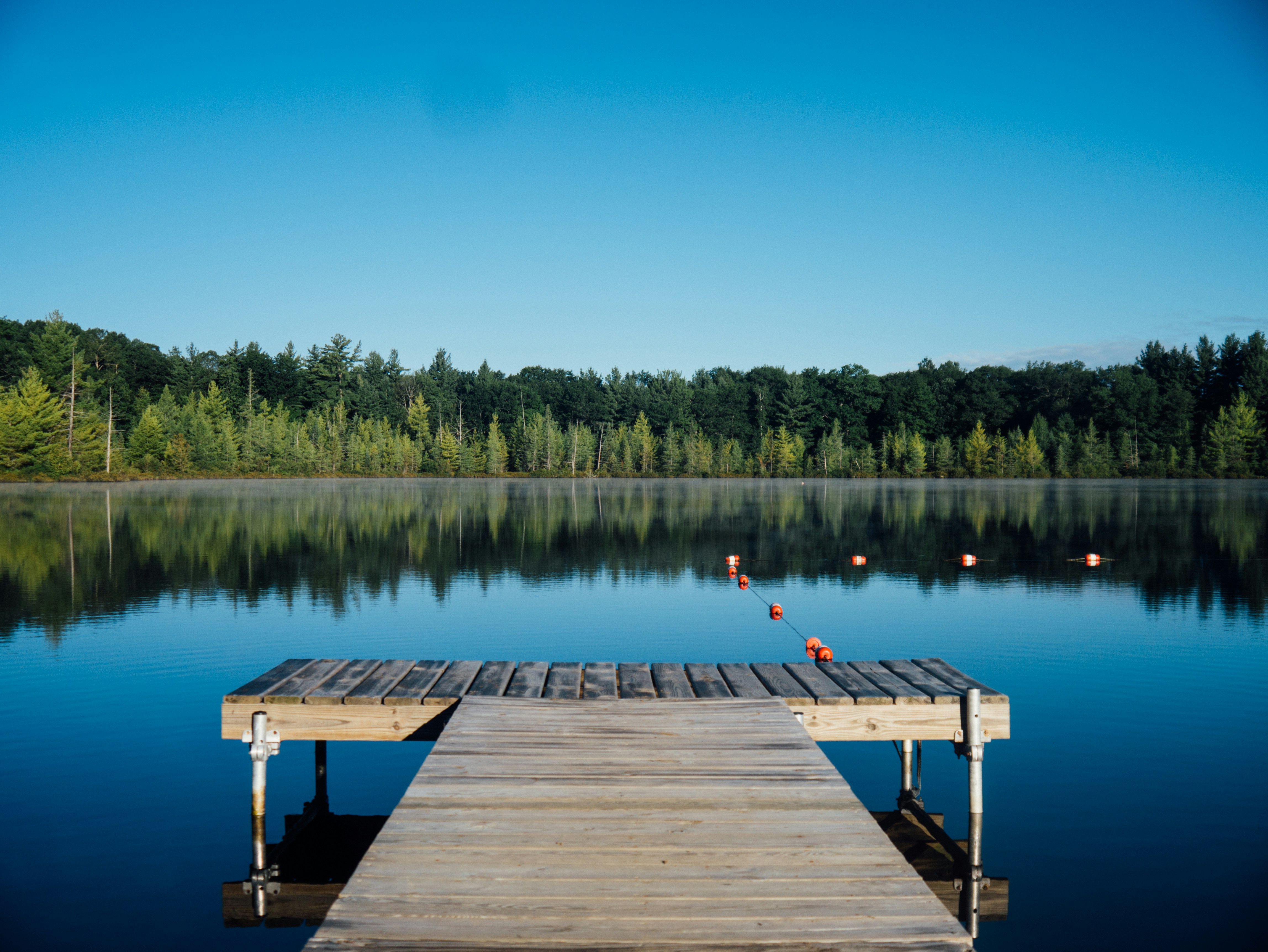 T-shaped wooden dock on still lake water reflecting forest trees and blue sky with orange buoys